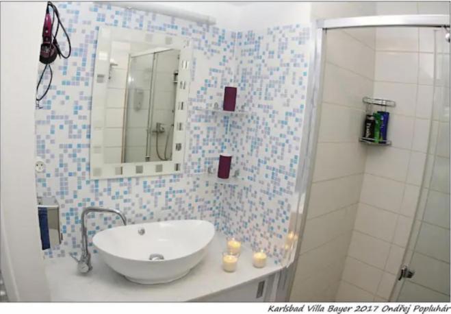 Apartman Vila Bayer Karlovy Vary Exterior foto