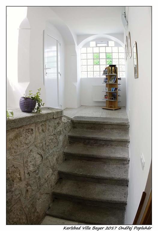 Apartman Vila Bayer Karlovy Vary Exterior foto