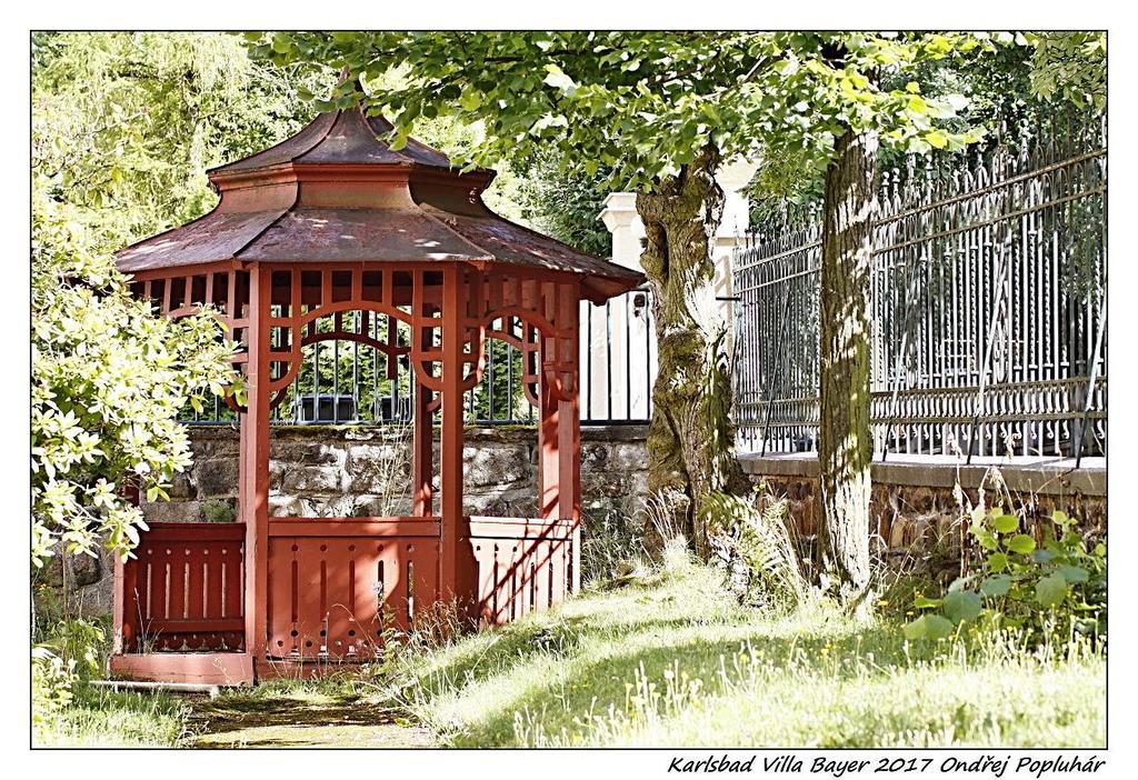 Apartman Vila Bayer Karlovy Vary Exterior foto