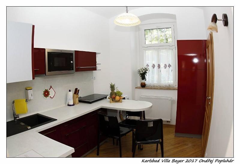 Apartman Vila Bayer Karlovy Vary Exterior foto