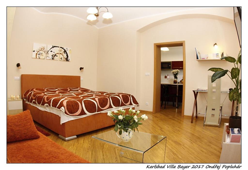 Apartman Vila Bayer Karlovy Vary Exterior foto